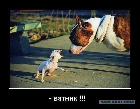 Путин прибыл в Хельсинки на встречу с Трампом и впервые использовал "Кортеж" за рубежом