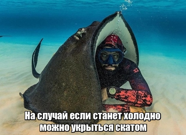 Нестандартный юмор