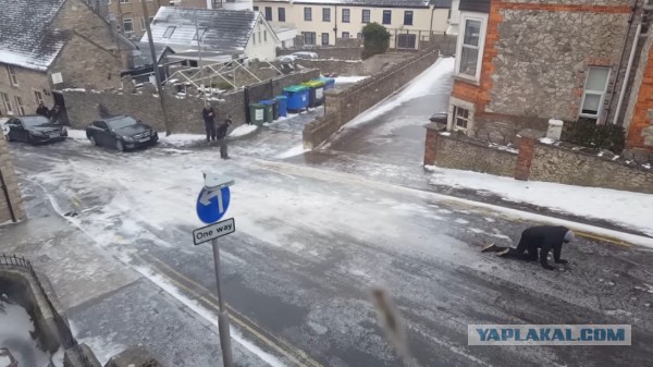 Когда живёшь в холмистой местности, и тут бабахнул гололёд