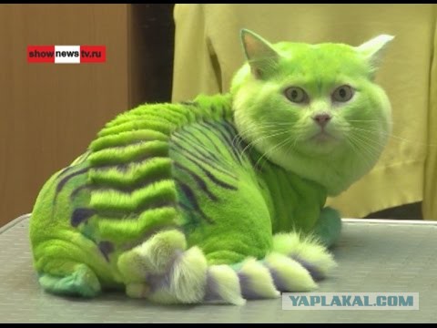 Почему женщина к 40 годам не замужем и чаще всего без детей.