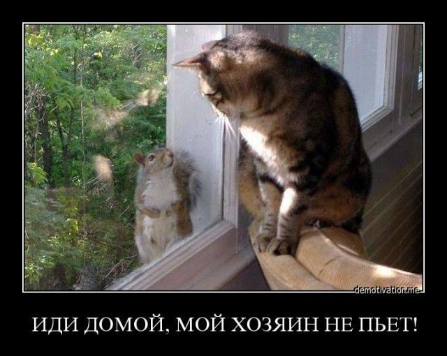 Небольшая субботняя алкоподборка