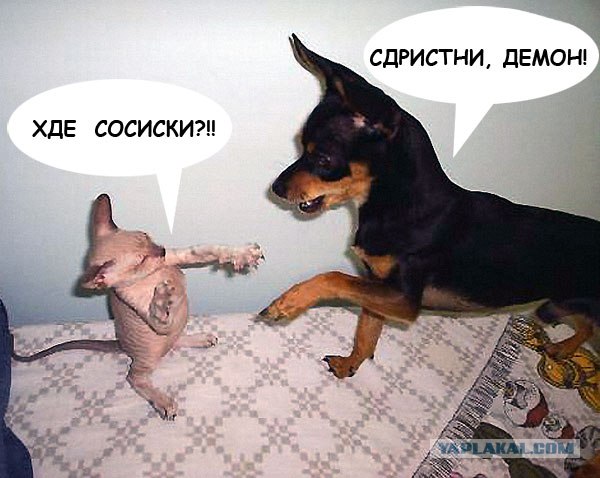 Фотожаба: Где?