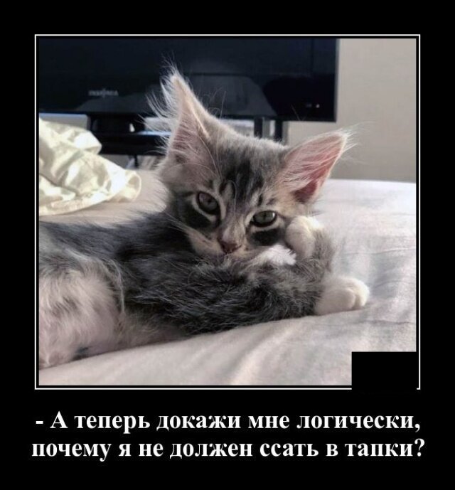 Пара-пара-пам! Фьють. Картинки с надписями.