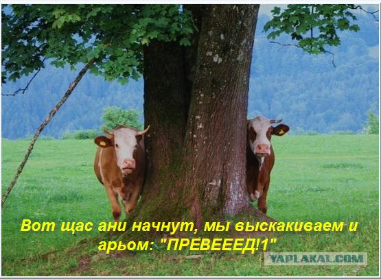 Как ты думаешь, измена скора отпустит?