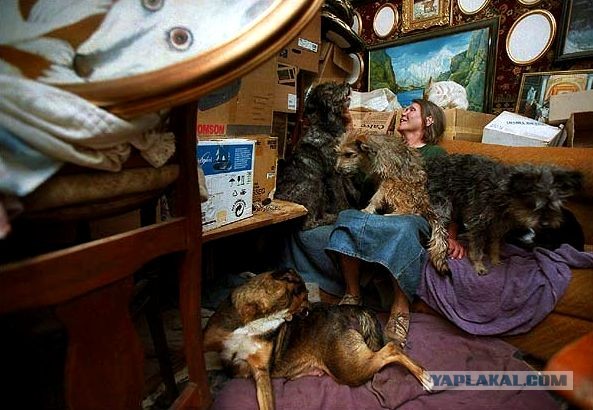 Живодёры Тулы. Нужна вся мощь ЯПа!