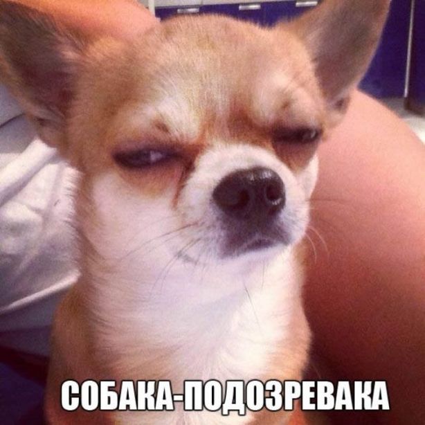 Убийцы катан: чем были страшны мечи китайских солдат