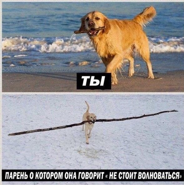 (Не) детские картинки (16+)