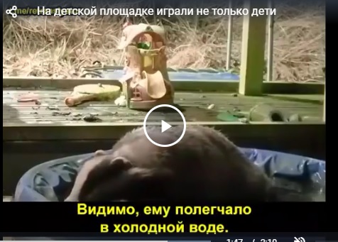 На детской площадке играли не только дети