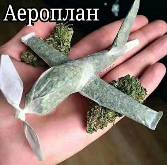 Прикольные и просто красивые картинки 26.10.2020