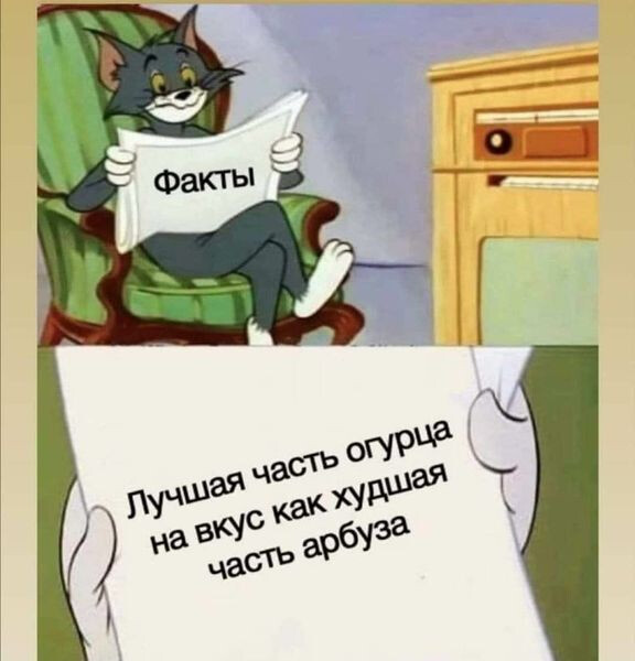 Фотки и картинки: юморные и красивые, забавные и милые 11.11.20