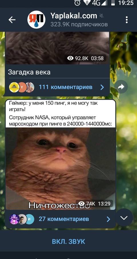 ЯП в Телеграм (с котиками :3)