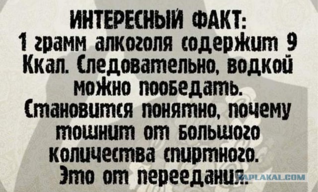 Бредзона 21.12.20