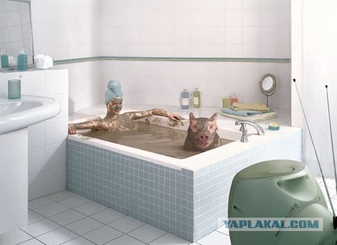 Из серии "отфотошопте меня"