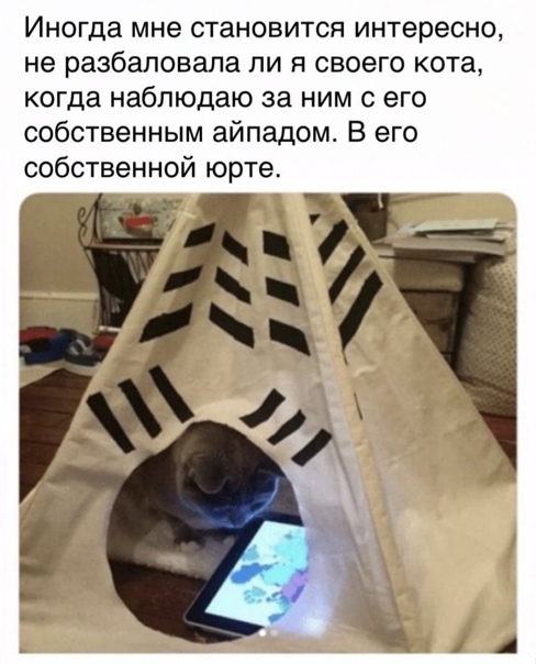Картинки и мемы для настроения 018
