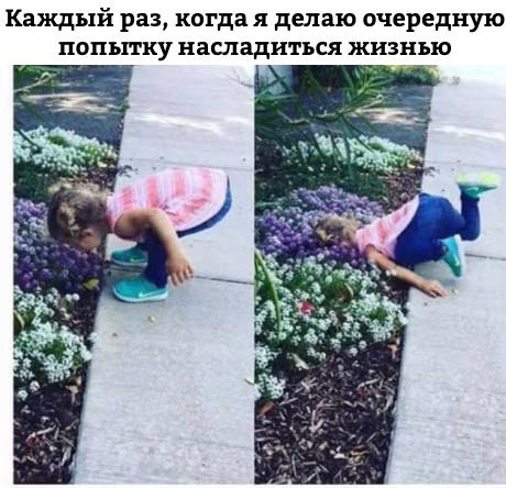 Картинки и мемы для настроения 005