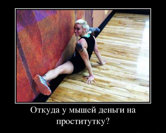 Весёлый полтишок 17.03