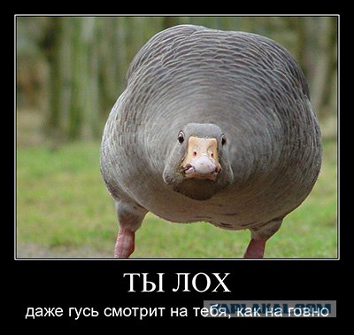 Нападение на полицейского в США