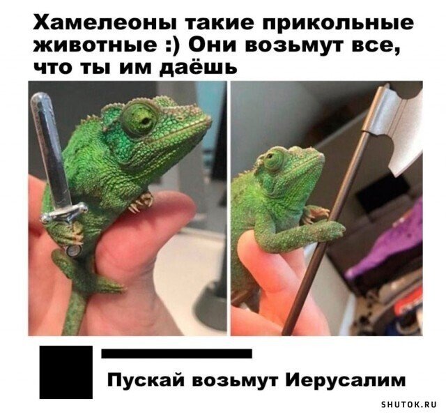 Картинки и мемы для настроения 13.04.2021