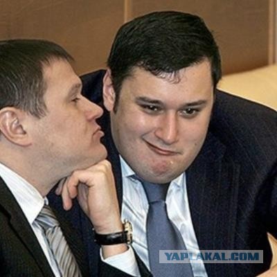 «Мусора – позор Парижа и Израиля». Такими словами депутат Госдумы Александр Хинштейн высказался о разгонах митингов