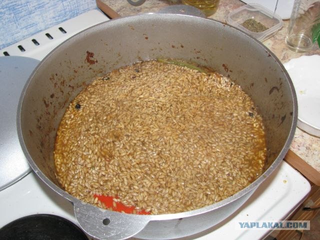 ПЛОВ