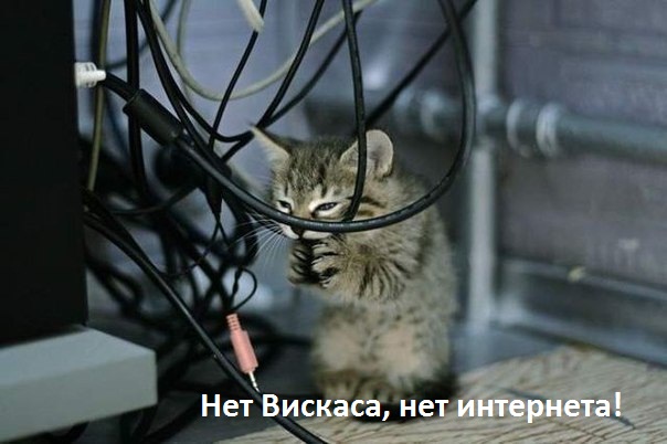 Просто картинки 05.07.2021