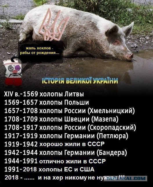Вопросик защитникам Родины