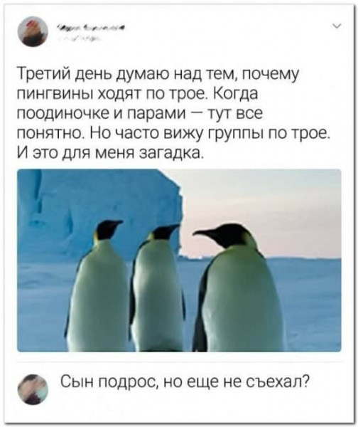 Чуток картинок 23.01.22