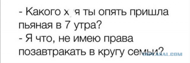 Забавные и веселые картинки