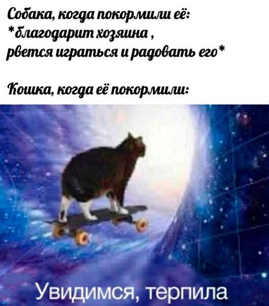40 картинок разных 12.04.2022