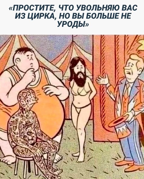 16871730.jpg