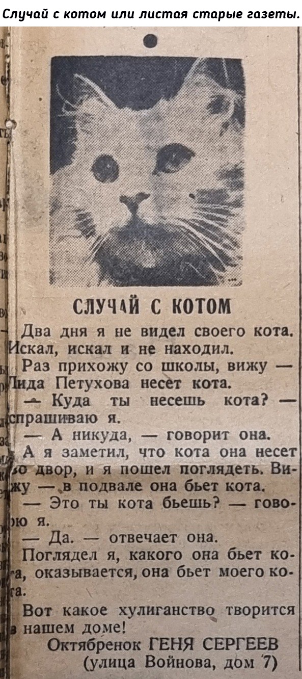Картинки разные