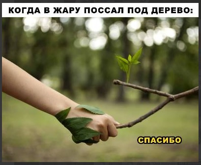 Картинки из рабочего чата 01.10.22