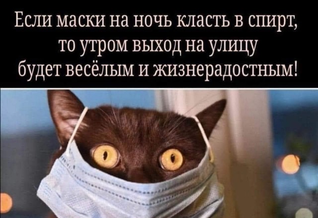 Алкопост 12.11.22