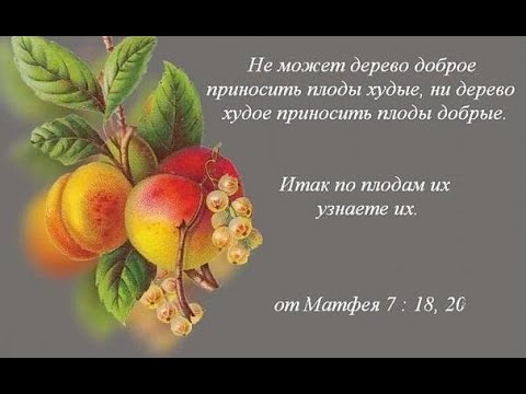 Наконец-то! Надежда наша обиду не даст.