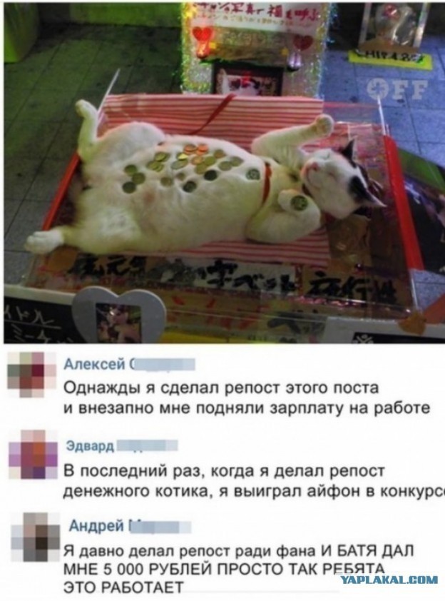 Извините. Деньги очень нужны