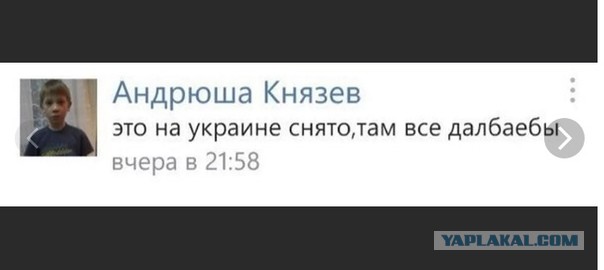 Как вы относитесь к россиянам