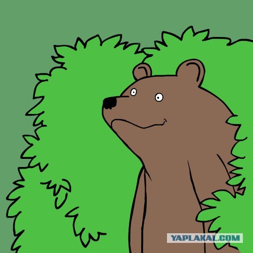 Здравствуй, мой плюшевый мишка!