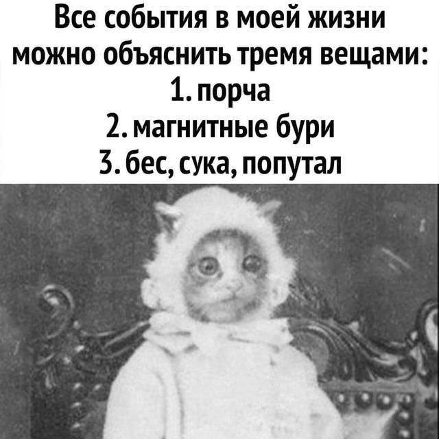 Немного картинок для настроения - 155