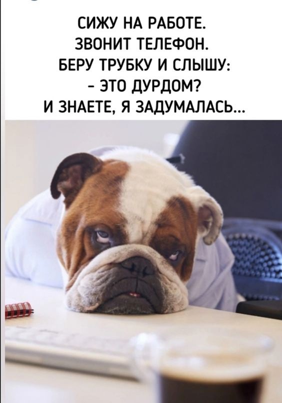 Картинки и мемы для настроения - 137