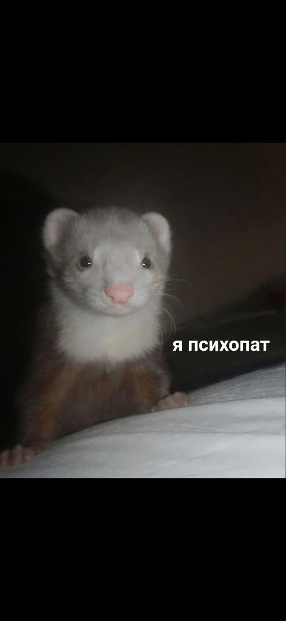 А у меня сегодня утро началось не с кофе..