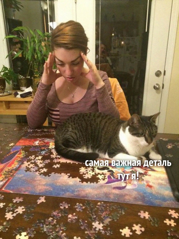 18375730.jpg