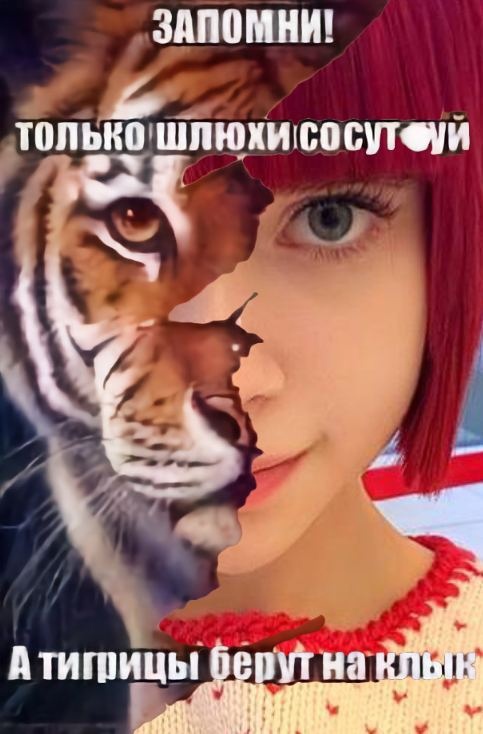 Чёрно-пошлая среда для деградантов