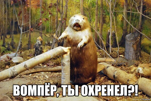 Отличный пример показал мастер по ремонту телефонов