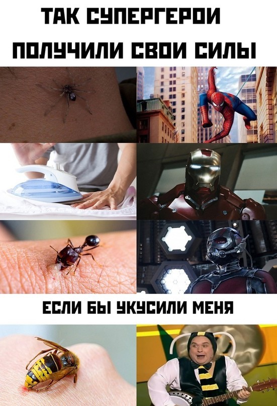 Бояны 5-ти летней выдержки