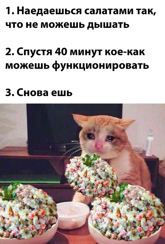 Весёлый полтишок 02.01.24