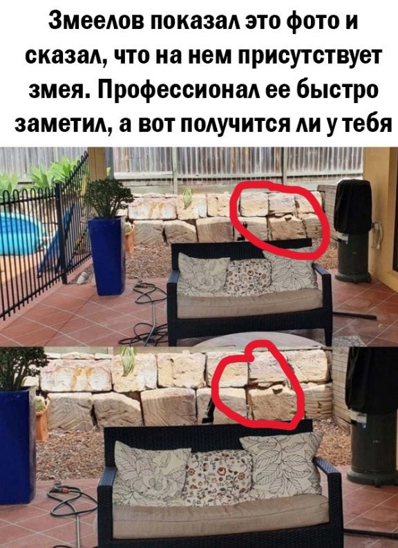 Так себе картинки 05.06.24