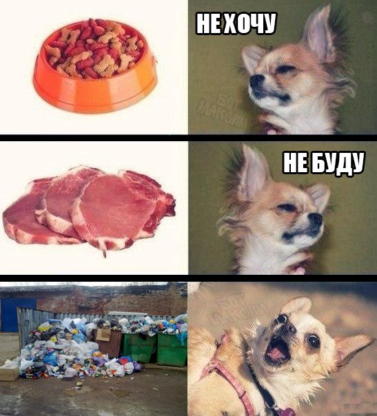 Так себе картинки 08.10.24