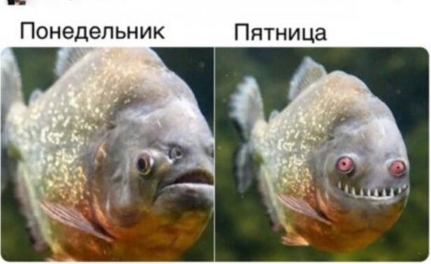 Завалялось тут случайно немного забавных картинок