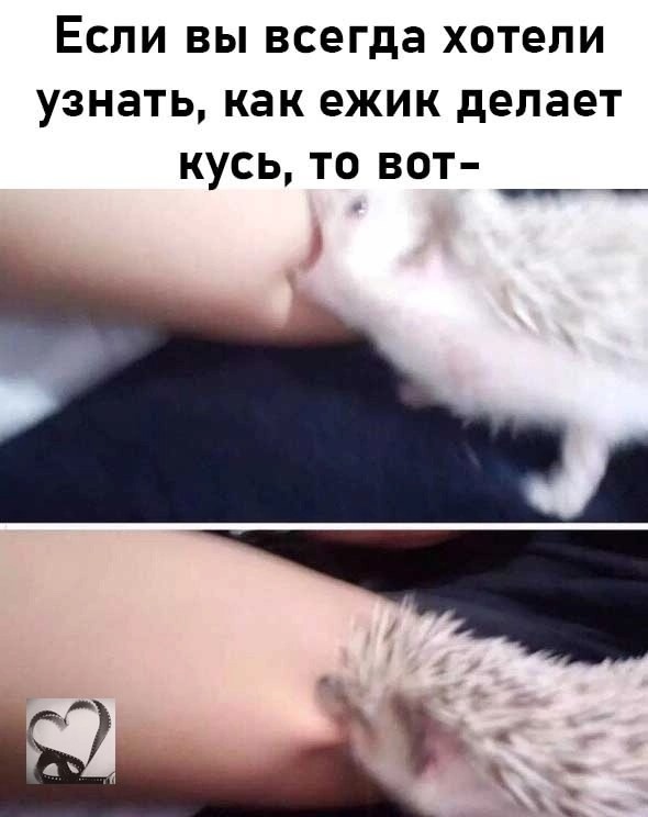 Так себе картинки 26.03.25