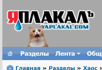 Морда протокольная